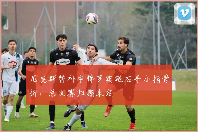 尼克斯替补中锋罗宾逊右手小指骨折，总决赛归期未定